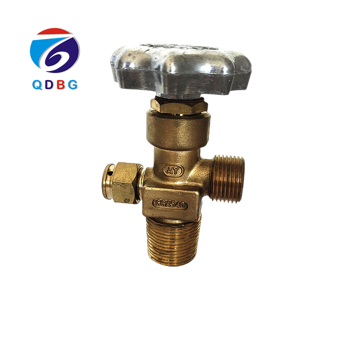 CGA540 GAS VALVE